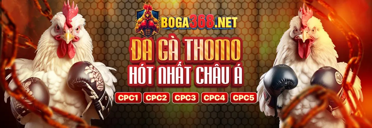 Người chơi đang chọn lựa trò chơi casino trên giao diện Zbet68 nhà cái