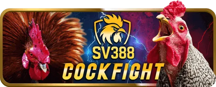 Đội ngũ hỗ trợ khách hàng 24/7 của Zbet68 nhà cái luôn sẵn sàng phục vụ